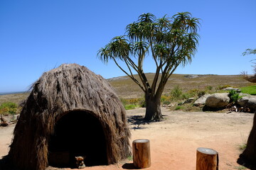 Traditional Hut and Aloe Tree in Nature Reserve