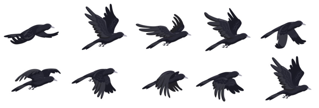 crow flying animation animated fly raven bird sequence cycle Halloween enemies  game cartoon crows