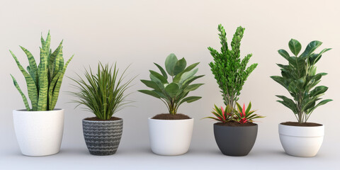 Variety of decorative indoor plants in stylish pots, enhancing home decor. Greenery adds natural elements and fresh aesthetics.