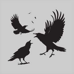 Obraz premium three crows arguing