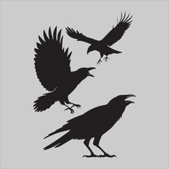 Obraz premium Crows in Conflict