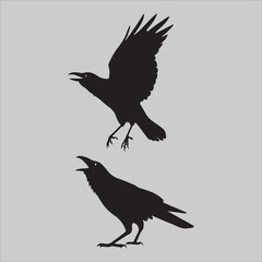 Fototapeta premium Crow Flock Argument