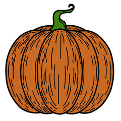 pumpkin
