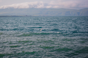 sea waves and clouds