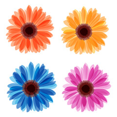 Set of different flower pattern elements.	