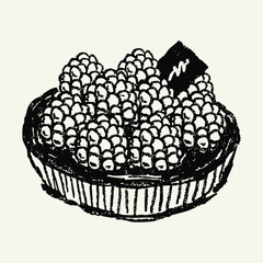 Hand-drawn raspberry tart doodle