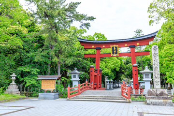 初夏の氣比神宮　福井県敦賀市　Kehi Shrine in early summer. Fukui Pref, Tsuruga City.