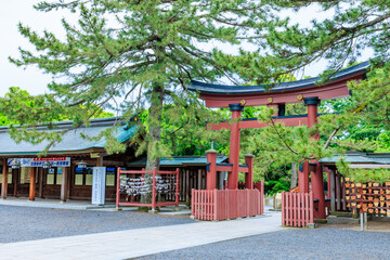 初夏の氣比神宮　福井県敦賀市　Kehi Shrine in early summer. Fukui Pref, Tsuruga City.