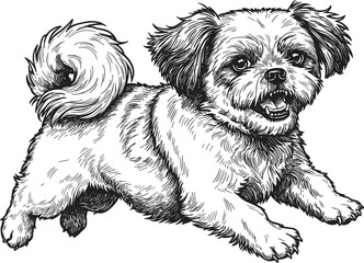 Playful Shih Tzu Puppy Illustration: Adorable Black and White Sketch for Pet Lovers