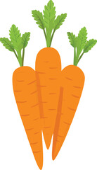 Three Carrots with Green Leaves Isolated on White Background Illustration