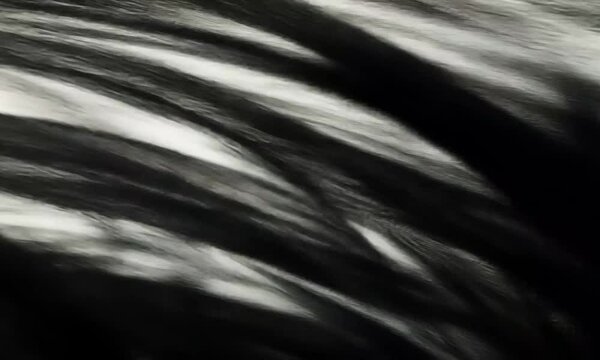Abstract black and white motion background video for creative projects and visual effects use