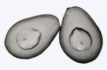 Two halves of an avocado, ripe exotic fruit in halftone modern art style. Cutout from magazine for collage design with grunge texture. Peruvian pear, raw avocado, healthy ingredient. Vector