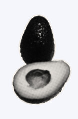 Raw avocado, ripe exotic fruit in halftone modern art style. Cutout from magazine for collage design with grunge texture. Peruvian pear, raw avocado, healthy ingredient. Vector, black and white.