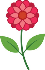 zinnia flower