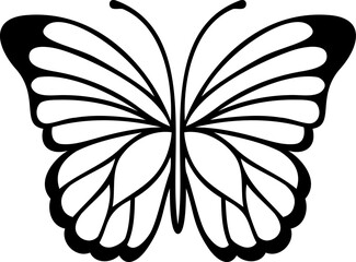 Butterfly. Isolated