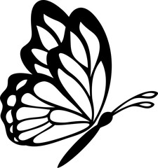 Butterfly. Isolated