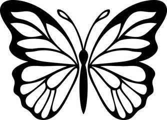 Butterfly. Isolated