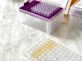 Enzyme immunoassay plates. ELISA. Work in the laboratory.