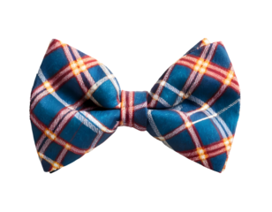 Plaid party bow tie isolated on transparent background