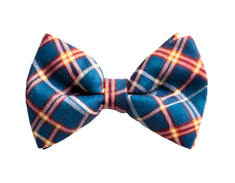 Plaid party bow tie isolated on transparent background - Powered by Adobe