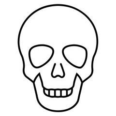 Fototapeta premium human skull vector illustration