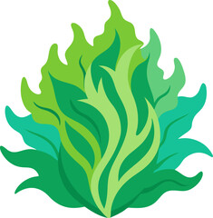 vector illustration of a Wakame 