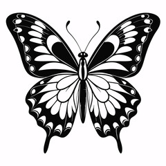 butterfly vector illustration