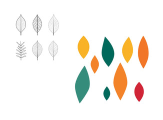 autumn leaves vector