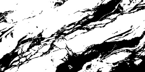 Fototapeta premium A high-contrast black and white abstract pattern resembling natural marble veins or intricate cracks on a white surface,characterized by thin,winding lines and small,irregular black speckles and ciust