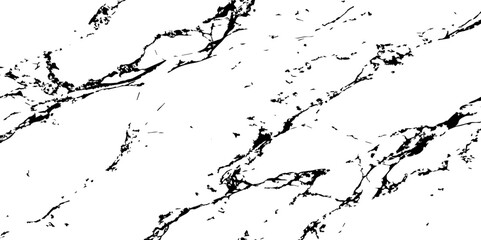 Fototapeta premium A high-contrast black and white abstract pattern resembling natural marble veins or intricate cracks on a white surface,characterized by thin,winding lines and small,irregular black speckles and ciust