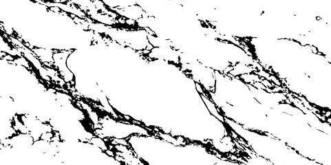 Obraz premium A high-contrast black and white abstract pattern resembling natural marble veins or intricate cracks on a white surface,characterized by thin,winding lines and small,irregular black speckles and ciust
