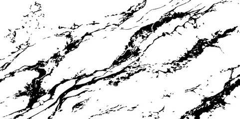 "A high-contrast black and white abstract pattern resembling natural marble veining or intricate cracked ice, with organic, flowing lines and fragmented shapes."