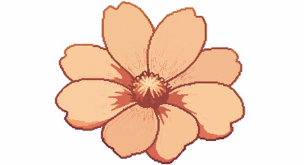 pink flower isolated on white