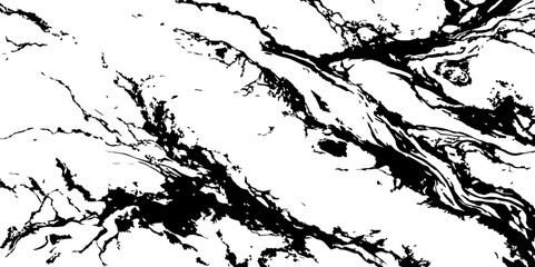 "A high-contrast black and white abstract pattern resembling natural marble veining or intricate cracked ice, with organic, flowing lines and fragmented shapes."