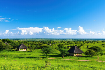 Fototapeta premium Serene landscape featuring traditional huts in lush green village, under bright blue sky with fluffy clouds
