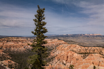 Lower Inspiration Point , Bryce Canyon National Park, Utah. Claron Formation, (Tcp) Pink member;...