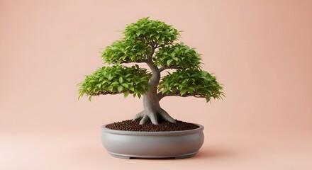 Serene Bonsai Tree A Miniature Masterpiece of Nature