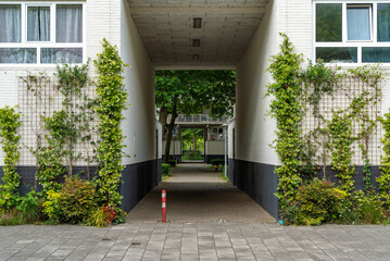 Green Facade of Apartment Building In Amsterdam Zuidoost with Climbing Plants on Trellis, Urban...