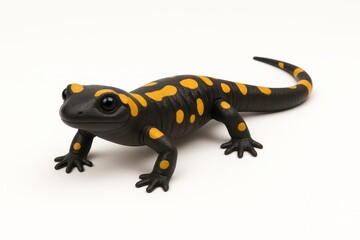 Detailed Close Up of a Fire Salamander on White Background