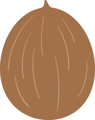 Coconut Fruit Vector Illustration