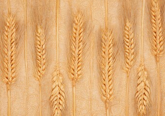 Golden wheat stalks against textured background