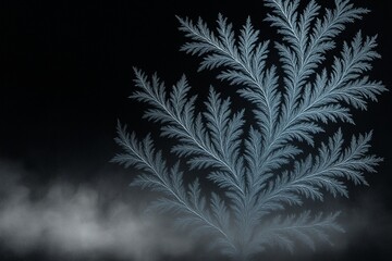 Frost Fern Pattern on Black Background, Elegant Winter Ice Crystal Texture.