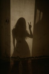 Shadow of Woman Making Peace Sign on Wall.