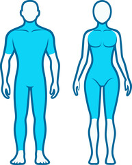 Male and female body outline stock illustration , white background   