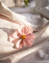 A soft pink flower resting on a white linen sheet, bathed in gentle morning sunlight, calm atmosphere