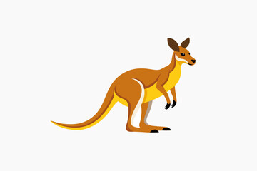 kangaroo vector illustration