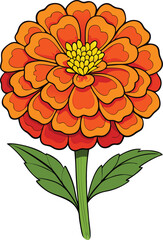 A detailed, stylized illustration of a zinnia flower.