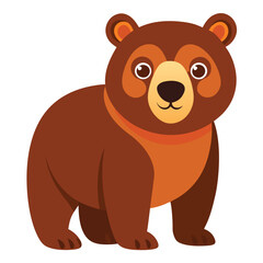 bear vector image on white background