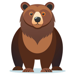 bear vector image on white background
