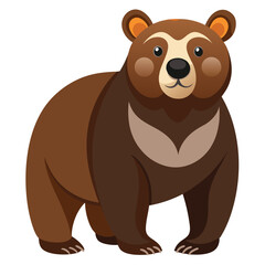 bear vector image on white background